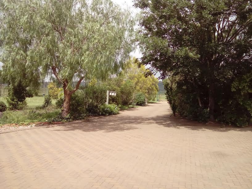 Robin Nest Guest House Ньюкасл Экстерьер фото